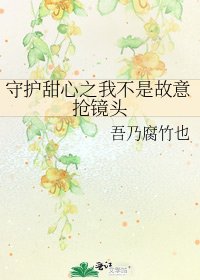 守护甜心之我不是故意抢镜头